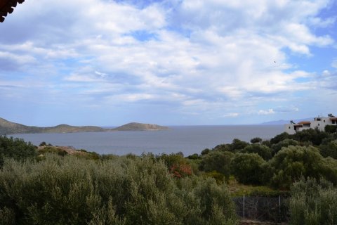 Готовый бизнес 420м² в Айос-Николаос, Греция №58292 1