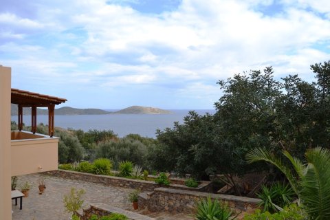 Готовый бизнес 420м² в Айос-Николаос, Греция №58292 5