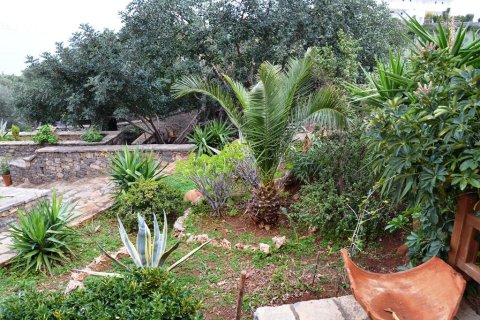 Готовый бизнес 420м² в Айос-Николаос, Греция №58292 8