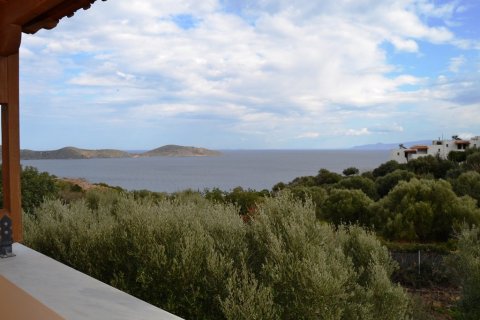 Готовый бизнес 420м² в Айос-Николаос, Греция №58292 6