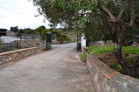 Готовый бизнес 420м² в Айос-Николаос, Греция №58292 4