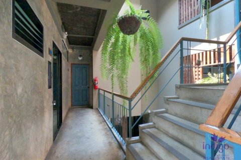 11 bedrooms Commercial property in Chiang Mai, Thailand No. 97535 4