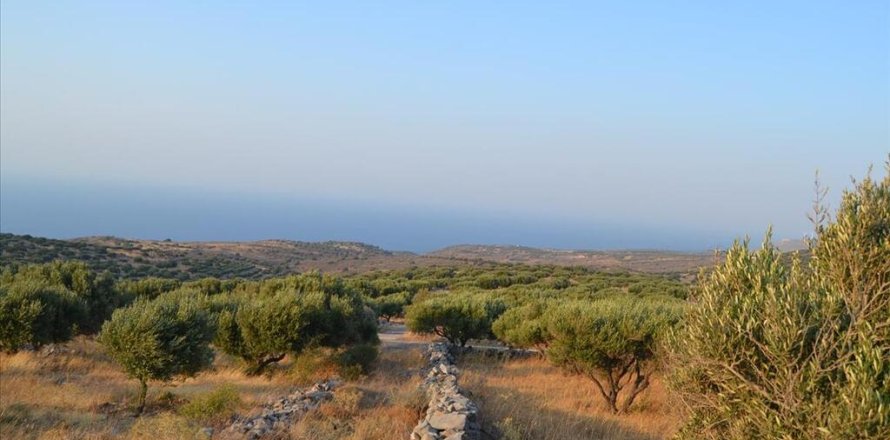 15570m² Land in Agios Nikolaos, Greece No. 108125