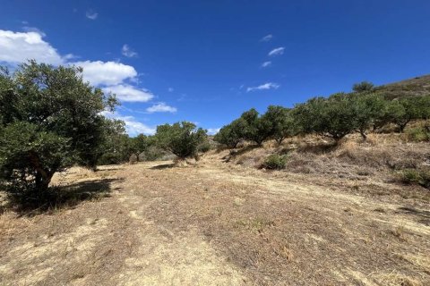 Land in Zakynthos, Greece No. 70914 28