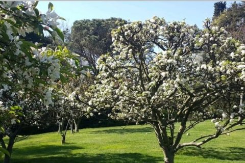 12 chambres Villa à Khanh Hoa, Vietnam No. 15052 8