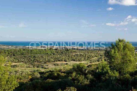 8 bedrooms Villa in Kien Thanh, Vietnam No. 88168 17