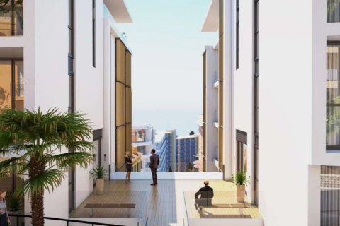 4 chambres Appartement à Beausoleil, France No. 76372 8