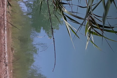 1048m² Land in Rethymno, Greece No. 113643 3