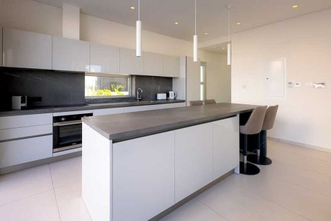 4 dormitorios Villa en Ayia Napa, Cyprus No. 82685 7