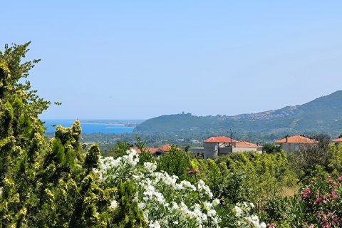 Дом с 3 спальнями в Пиерия, Греция №107466 28