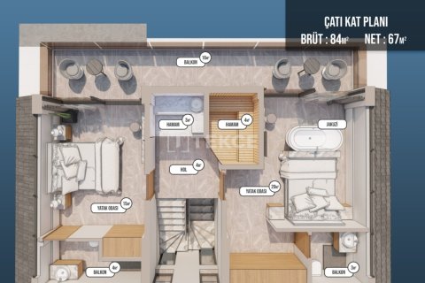 5 bedrooms Villa in Hoang An, Vietnam No. 14200 3