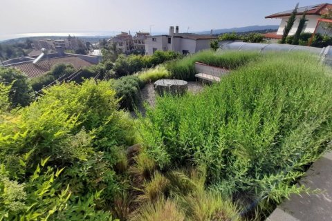 7 bedrooms Villa in Thessaloniki, Greece No. 52013 7