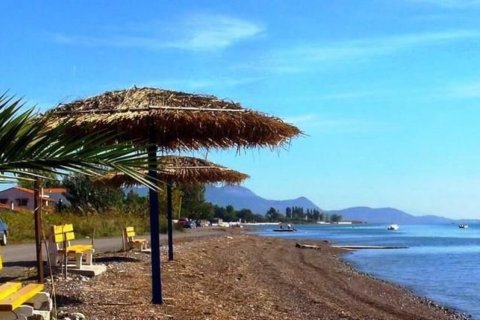 Земельный участок 4047м² в Фтиотида, Греция №58557 1