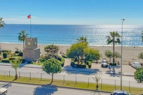 3 rooms Apartment in Tri Phuong, Vietnam No. 21342 3