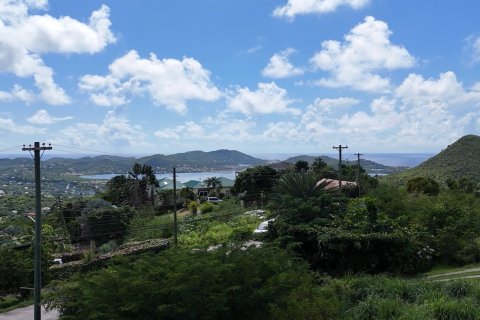 1295m² Land in Saint Paul, Antigua and Barbuda No. 70263 12