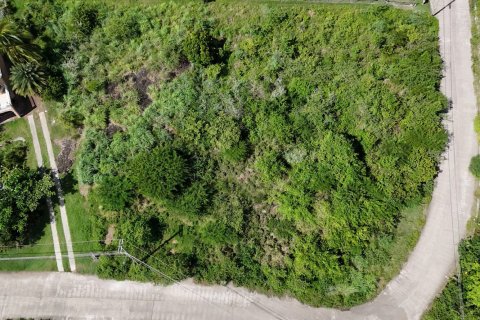 1295m² Land in Saint Paul, Antigua and Barbuda No. 70263 7