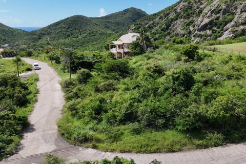 1295m² Land in Saint Paul, Antigua and Barbuda No. 70263 3