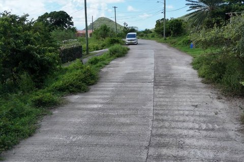1295m² Land in Saint Paul, Antigua and Barbuda No. 70263 13