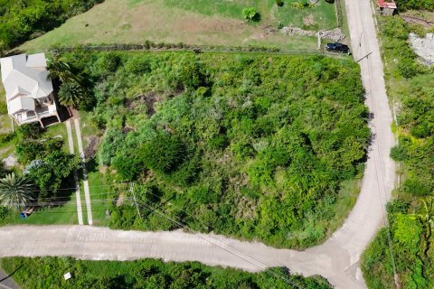 1295m² Land in Saint Paul, Antigua and Barbuda No. 70263 4