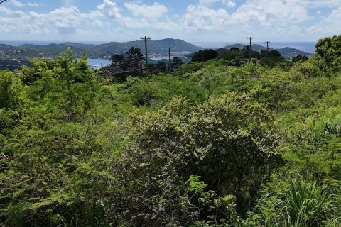 1295m² Land in Saint Paul, Antigua and Barbuda No. 70263 6
