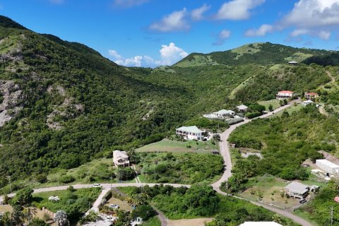 1295m² Land in Saint Paul, Antigua and Barbuda No. 70263 1
