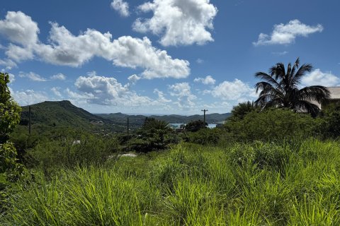 1295m² Land in Saint Paul, Antigua and Barbuda No. 70263 14