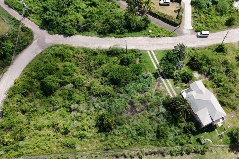 1295m² Land in Saint Paul, Antigua and Barbuda No. 70263 10