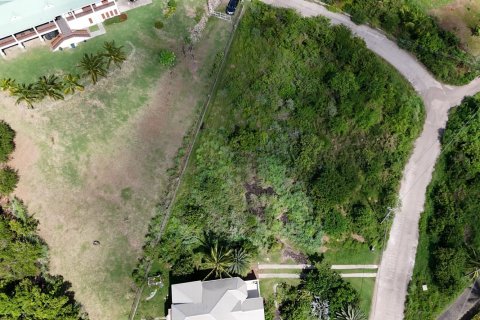 1295m² Land in Saint Paul, Antigua and Barbuda No. 70263 8