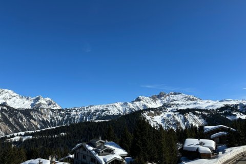 2 bedrooms Apartment in Courchevel, France No. 100215 1