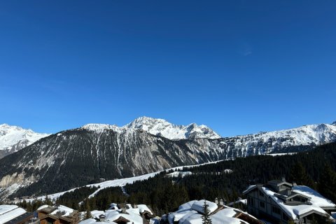 2 bedrooms Apartment in Courchevel, France No. 100215 2