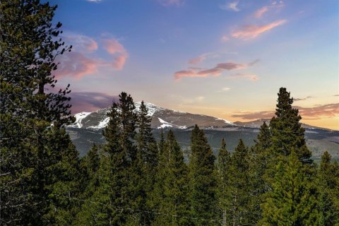 Дом с 3 спальнями в Фэрплей, США №104623 18