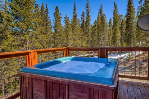 Дом с 3 спальнями в Фэрплей, США №104623 22