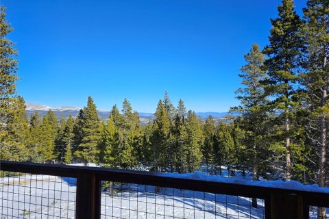 Дом с 3 спальнями в Фэрплей, США №104623 26