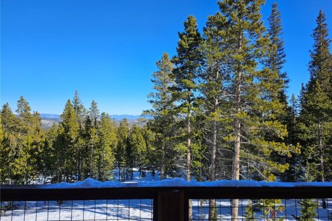 Дом с 3 спальнями в Фэрплей, США №104623 25