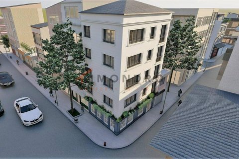 8 dormitorios Villa en Thuy Nguyen, Vietnam No. 16797 4