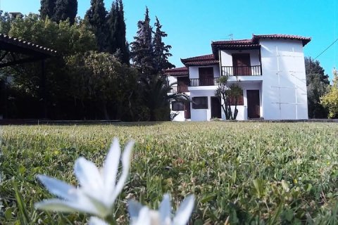 6 bedrooms Villa in Pefkochori, Greece No. 24475 3