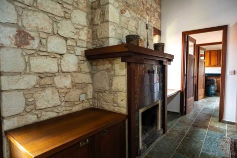 7 bedrooms Villa in Kritou Tera, Cyprus No. 100323 6