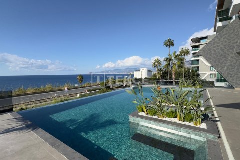 2 bedrooms Apartment in Chau Lang, Vietnam No. 14388 1