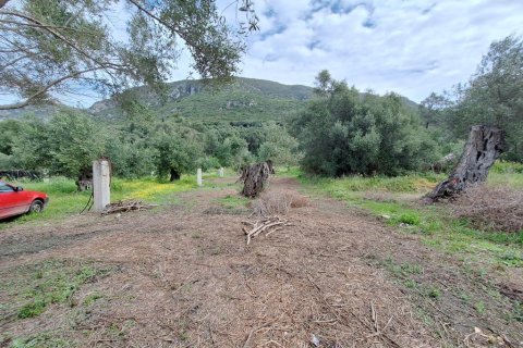 7000m² Land in Corfu, Greece No. 107987 13