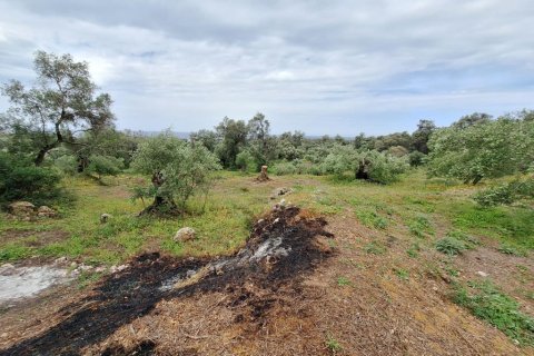 7000m² Land in Corfu, Greece No. 107987 6