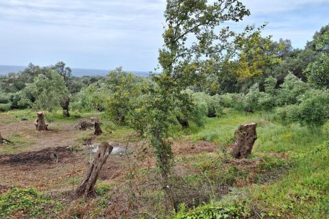 7000m² Land in Corfu, Greece No. 107987 10