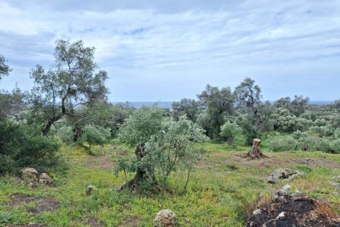 7000m² Land in Corfu, Greece No. 107987 2