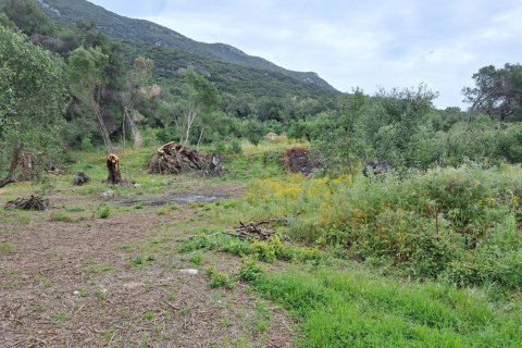 7000m² Land in Corfu, Greece No. 107987 12