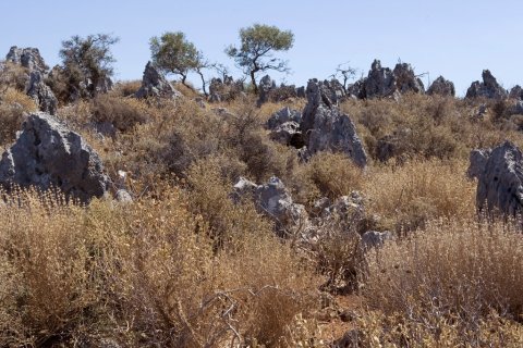 274615m² Land in Chania, Greece No. 60684 9