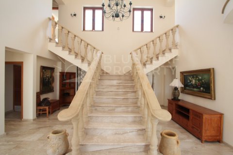 6 bedrooms Villa in Protaras, Cyprus No. 36590 13