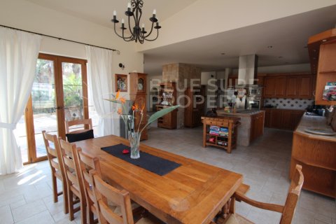 6 bedrooms Villa in Protaras, Cyprus No. 36590 4