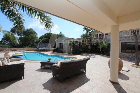 6 bedrooms Villa in Protaras, Cyprus No. 36590 25
