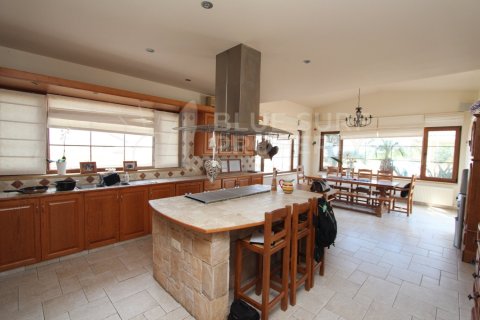 6 bedrooms Villa in Protaras, Cyprus No. 36590 3