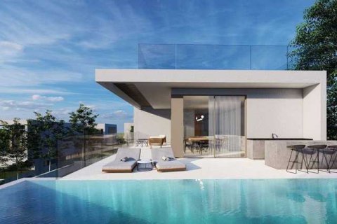 Дом с 5 спальнями в Пейя, Кипр №30429 2