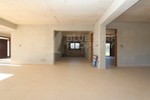 Вилла с 4 спальнями в Айя Напа, Кипр №36591 6